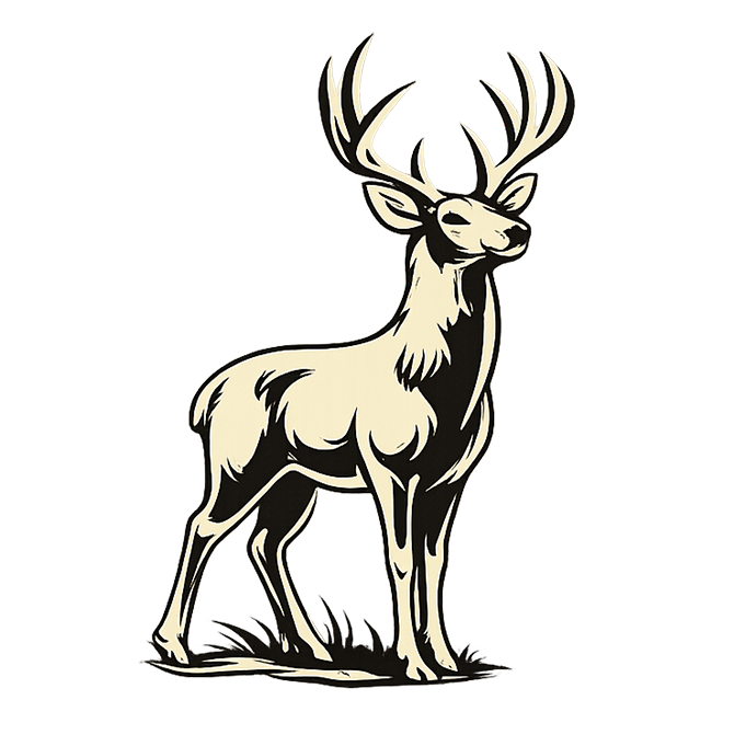 Whitetail Deer
