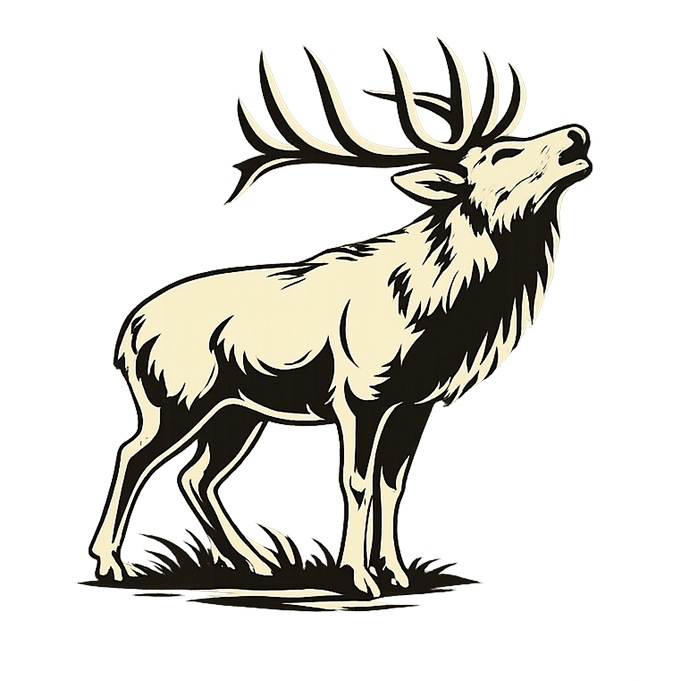 Elk