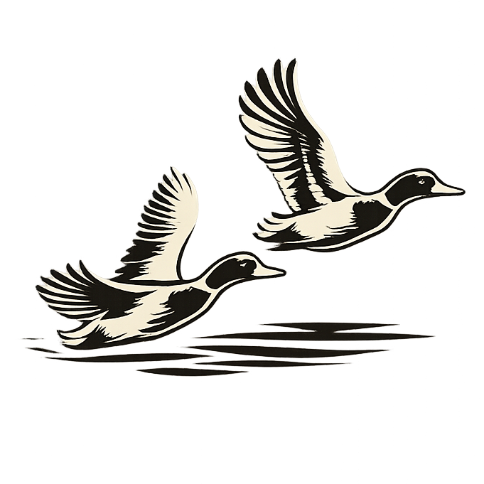 Waterfowl